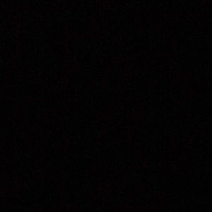 Meet your Posher, Sammi